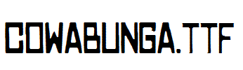 COWABUNGA