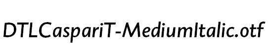 DTLCaspariT-MediumItalic.otf