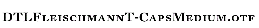 DTLFleischmannT-CapsMedium.otf