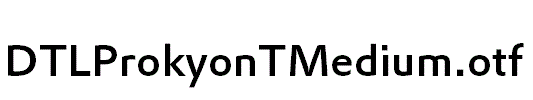 DTLProkyonTMedium.otf