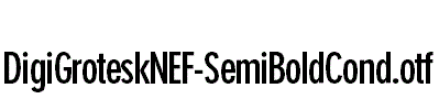 DigiGroteskNEF-SemiBoldCond.otf