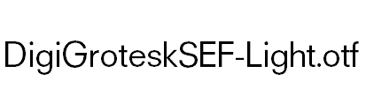 DigiGroteskSEF-Light.otf