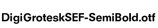 DigiGroteskSEF-SemiBold.otf