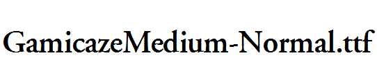 GamicazeMedium-Normal.ttf