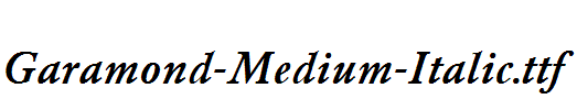 Garamond-Medium-Italic.ttf