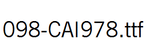 fonts 098-CAI978.ttf