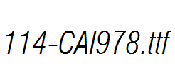 fonts 114-CAI978.ttf
