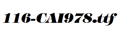 fonts 116-CAI978.ttf