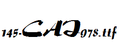 fonts 145-CAI978.ttf