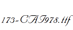 fonts 173-CAI978.ttf