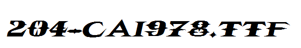 fonts 204-CAI978.ttf