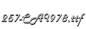 fonts 257-CAI978.ttf