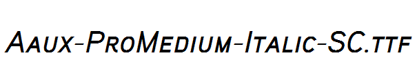 Aaux-ProMedium-Italic-SC.ttf
