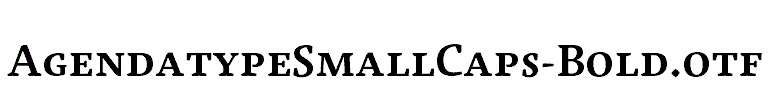 AgendatypeSmallCaps-Bold.otf