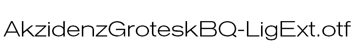 AkzidenzGroteskBQ-LigExt.otf