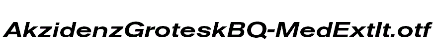 AkzidenzGroteskBQ-MedExtIt.otf