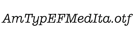 AmTypEFMedIta.otf