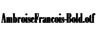 AmbroiseFrancois-Bold.otf