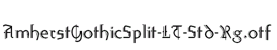 AmherstGothicSplit-LT-Std-Rg.otf