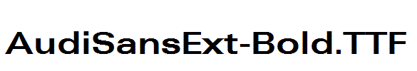AudiSansExt-Bold.TTF