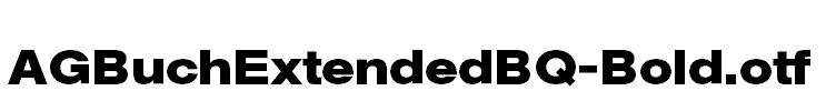 AGBuchExtendedBQ-Bold.otf