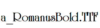 a_RomanusBold.TTF