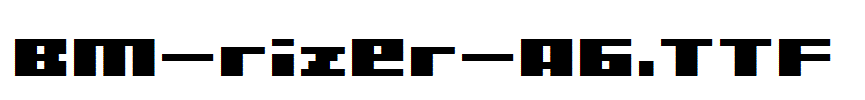 BM-rizer-A6.TTF