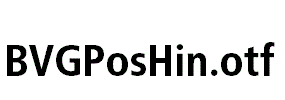 BVGPosHin.otf