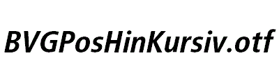 BVGPosHinKursiv.otf