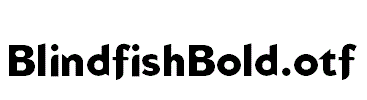 BlindfishBold.otf