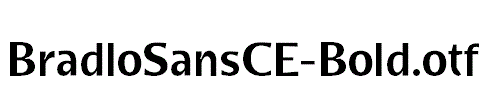 BradloSansCE-Bold.otf