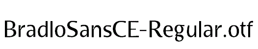 BradloSansCE-Regular.otf