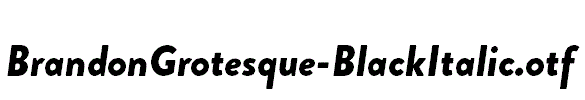 BrandonGrotesque-BlackItalic.otf