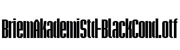 BriemAkademiStd-BlackCond.otf