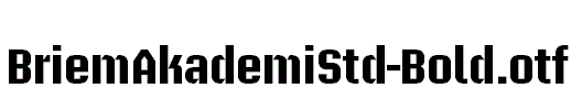 BriemAkademiStd-Bold.otf