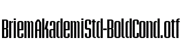 BriemAkademiStd-BoldCond.otf