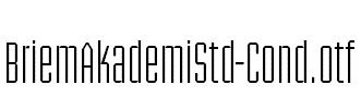 BriemAkademiStd-Cond.otf