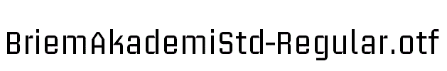 BriemAkademiStd-Regular.otf