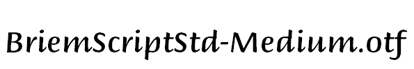 BriemScriptStd-Medium.otf