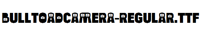 BulltoadCamera-Regular.TTF