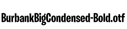 BurbankBigCondensed-Bold.otf