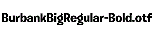 BurbankBigRegular-Bold.otf