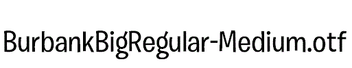 BurbankBigRegular-Medium.otf