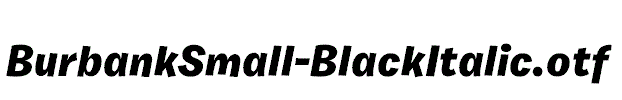 BurbankSmall-BlackItalic.otf