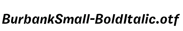 BurbankSmall-BoldItalic.otf
