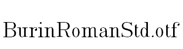 BurinRomanStd.otf