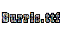 Burris.ttf