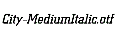 City-MediumItalic.otf