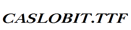 CASLOBIT.TTF