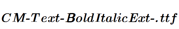 CM-Text-BoldItalicExt-.ttf